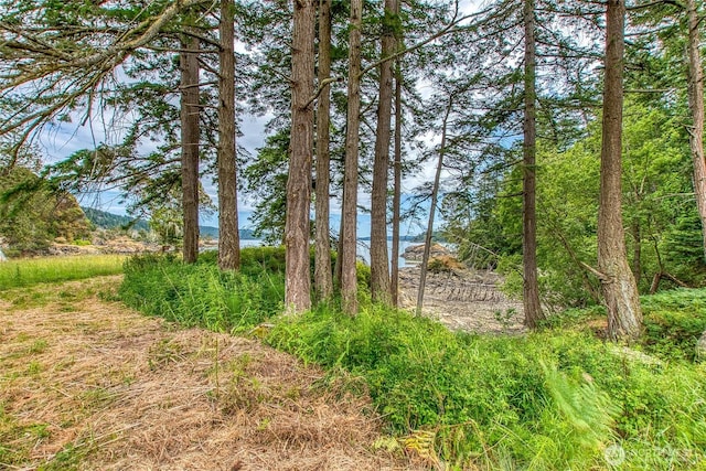 3388 Deer Harbor Rd, Orcas Island, WA 98243 - photo 28