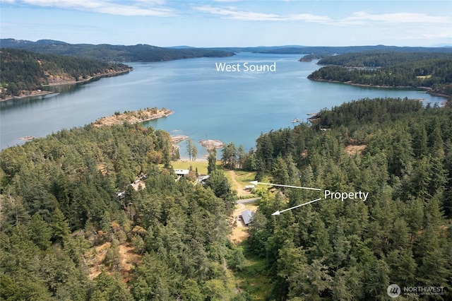 3388 Deer Harbor Rd, Orcas Island, WA 98243 - photo 7
