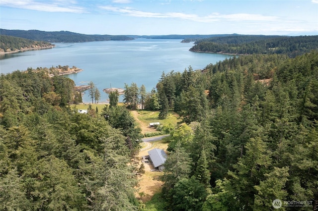 3388 Deer Harbor Rd, Orcas Island, WA 98243 - photo 40