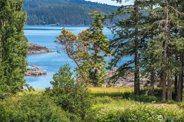 3388 Deer Harbor Rd, Orcas Island, WA 98243 - photo 4