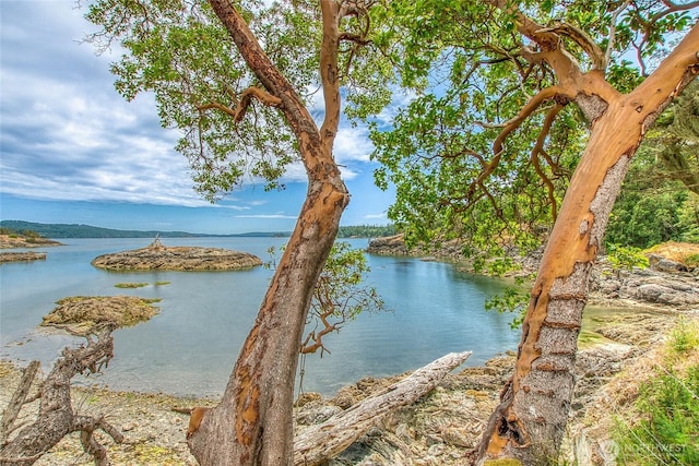 3388 Deer Harbor Rd, Orcas Island, WA 98243 - photo 2