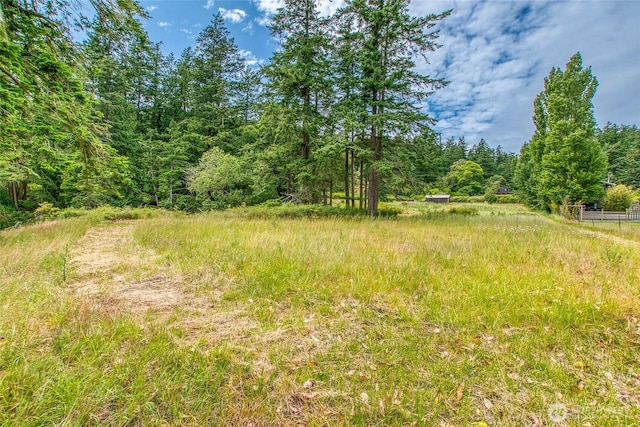 3388 Deer Harbor Rd, Orcas Island, WA 98243 - photo 30