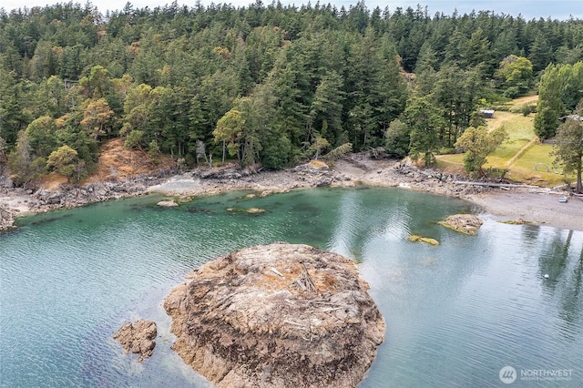 3388 Deer Harbor Rd, Orcas Island, WA 98243 - photo 36