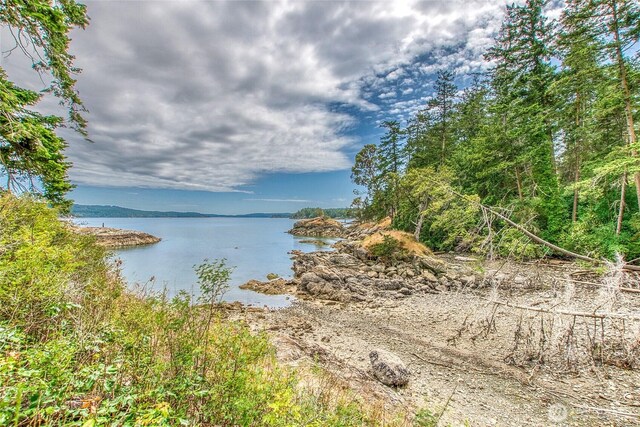 3388 Deer Harbor Rd, Orcas Island, WA 98243 - photo 3