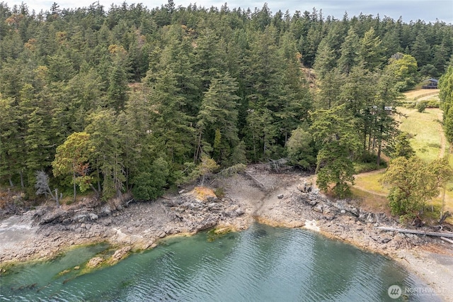 3388 Deer Harbor Rd, Orcas Island, WA 98243 - photo 38