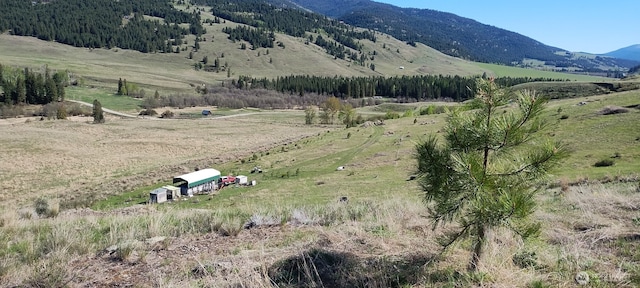 26 Gafvery Creek Rd, Oroville, WA 98844