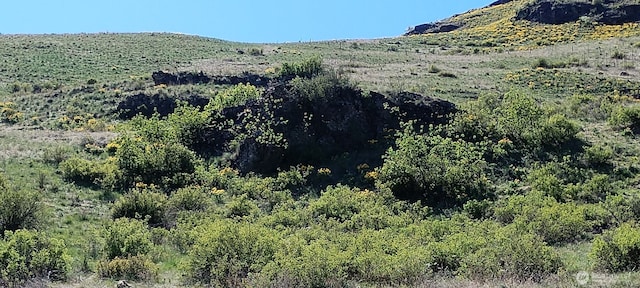 26 Gafvery Creek Rd, Oroville, WA 98844