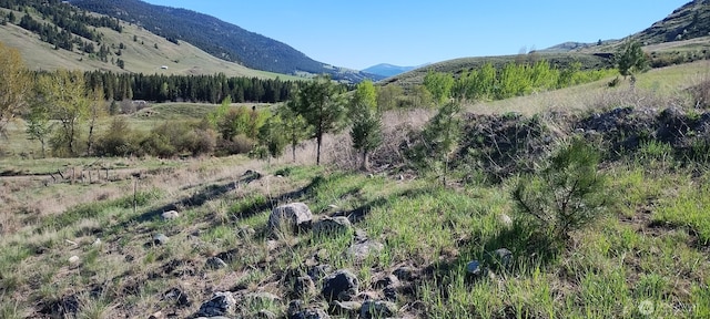 26 Gafvery Creek Rd, Oroville, WA 98844