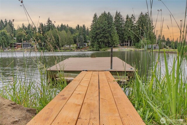 470 SE Crescent Dr, Shelton, WA 98584 - photo 29