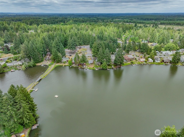 470 SE Crescent Dr, Shelton, WA 98584 - photo 36