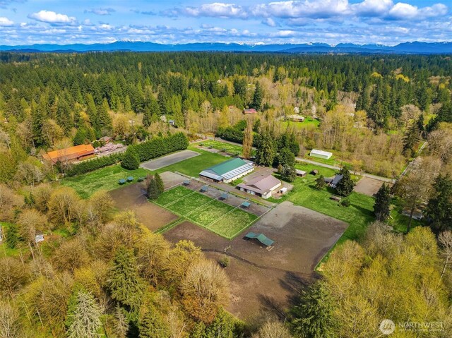 19011 176th Ave NE, Woodinville, WA 98072 - photo 36