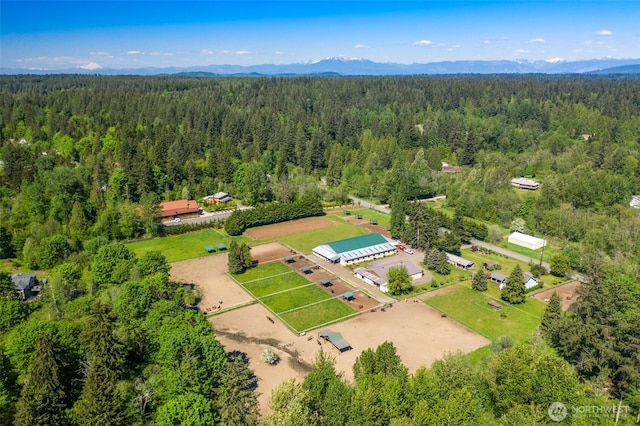 19011 176th Ave NE, Woodinville, WA 98072 - photo 37