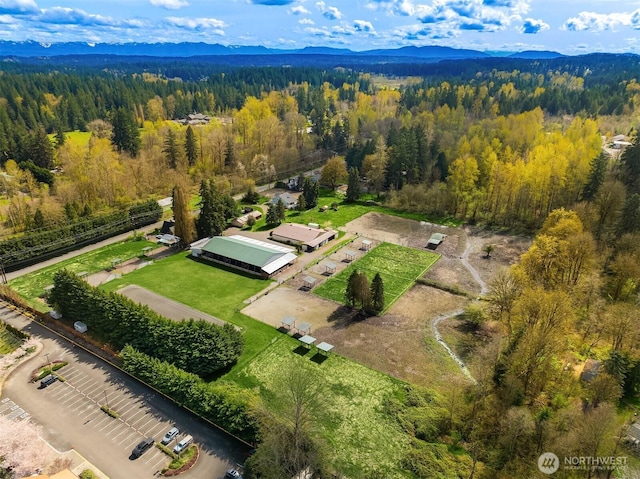 19011 176th Ave NE, Woodinville, WA 98072 - photo 1