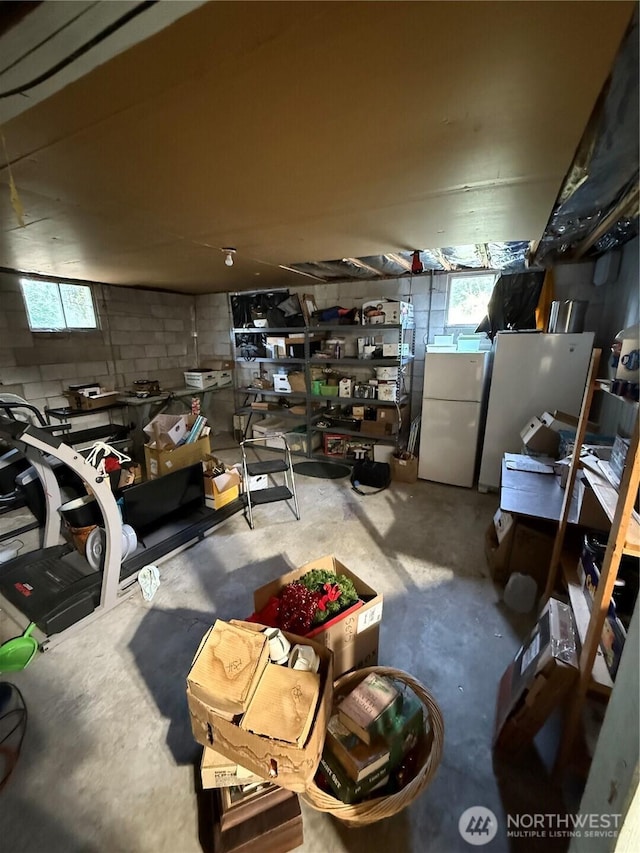 5645 Lento Pl SE, Olympia, WA 98513 - below grade area with freestanding refrigerator, concrete block wall, and healthy amount of natural light