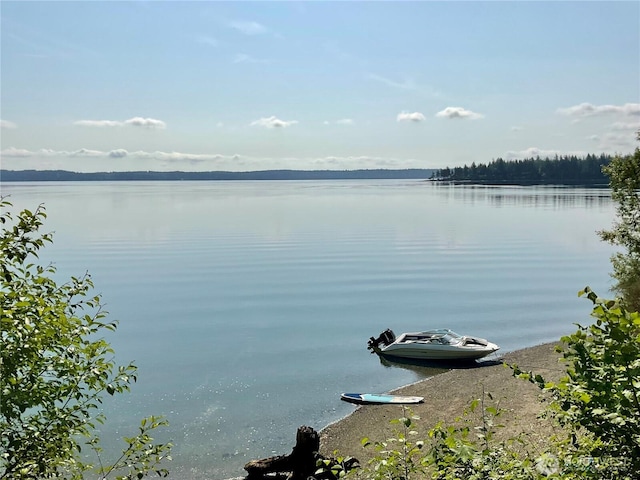 662 E Stadium Beach Rd E, Grapeview, WA 98546 - water view