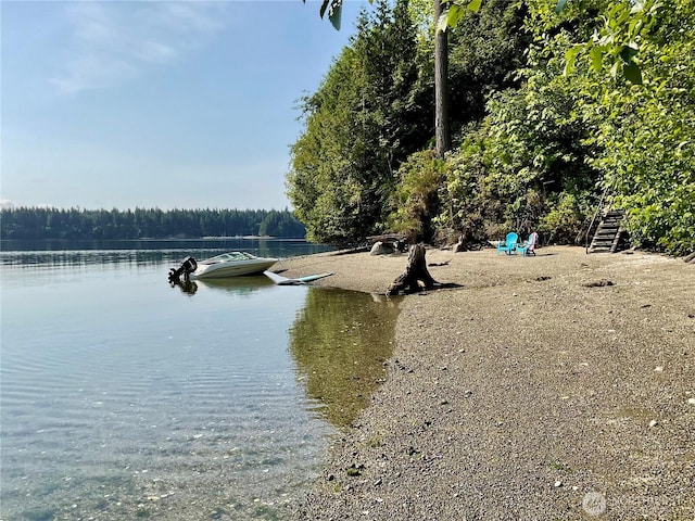 662 E Stadium Beach Rd E, Grapeview, WA 98546 - water view with a forest