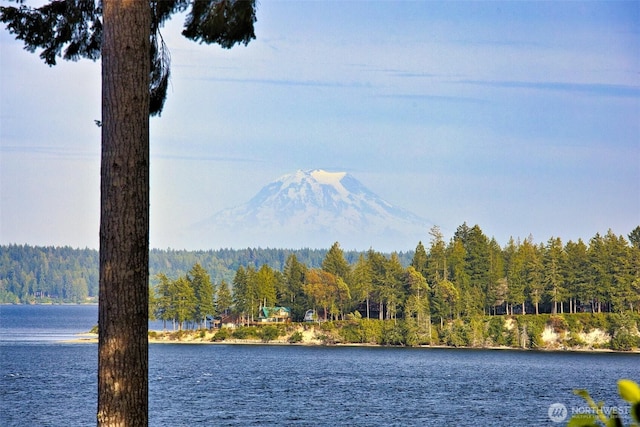 662 E Stadium Beach Rd E, Grapeview, WA 98546 - water view with a forest