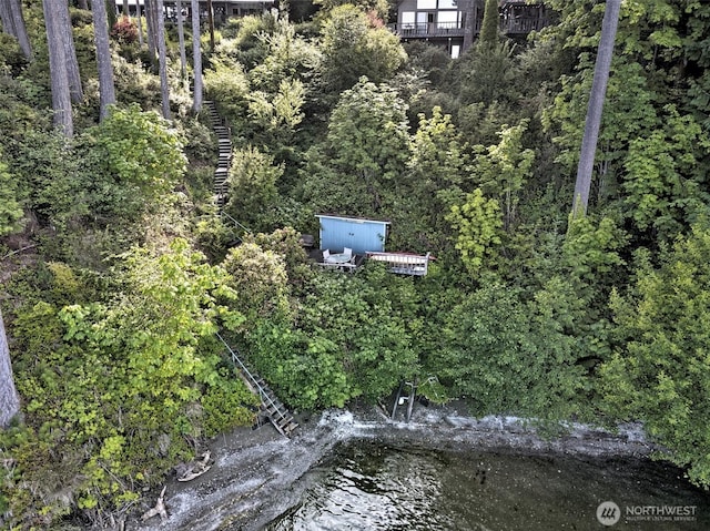 662 E Stadium Beach Rd E, Grapeview, WA 98546 - aerial view of property and surrounding area