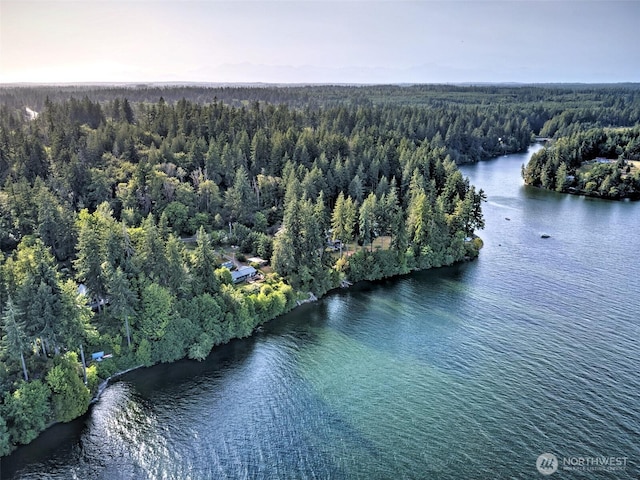 662 E Stadium Beach Rd E, Grapeview, WA 98546 - aerial view of a heavily wooded area and a nearby body of water
