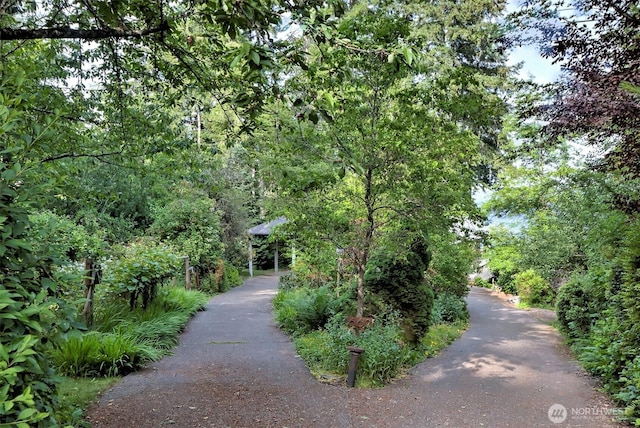 662 E Stadium Beach Rd E, Grapeview, WA 98546 - view of property's community