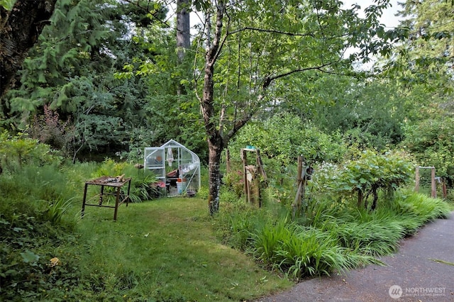 662 E Stadium Beach Rd E, Grapeview, WA 98546 - view of yard with an exterior structure and an outbuilding