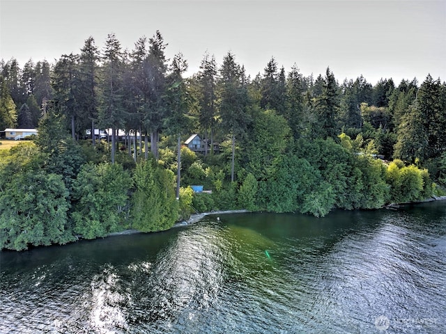 662 E Stadium Beach Rd E, Grapeview, WA 98546 - water view with a heavily wooded area