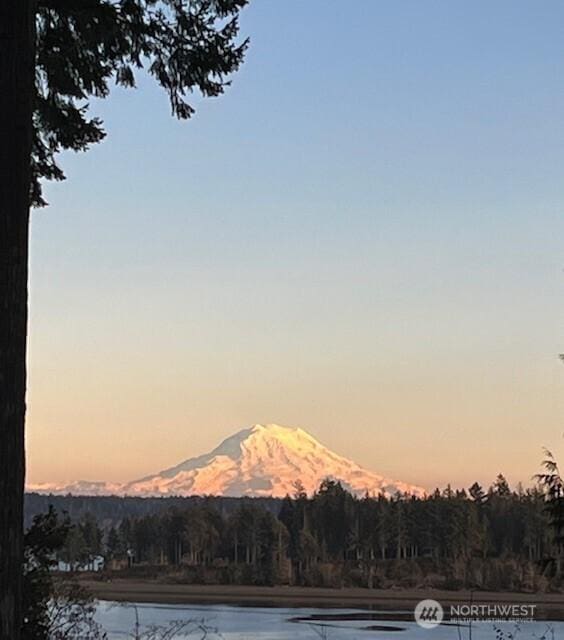 662 E Stadium Beach Rd E, Grapeview, WA 98546 - mountain view with a heavily wooded area