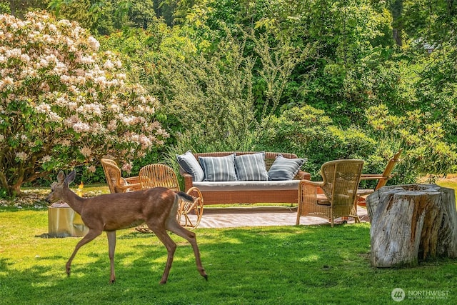 16305 Crescent Dr SW, Vashon, WA 98070 - view of grassy yard with a patio area