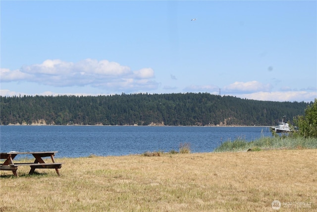 63 W Moore St, Port Hadlock, WA 98339 - photo 27