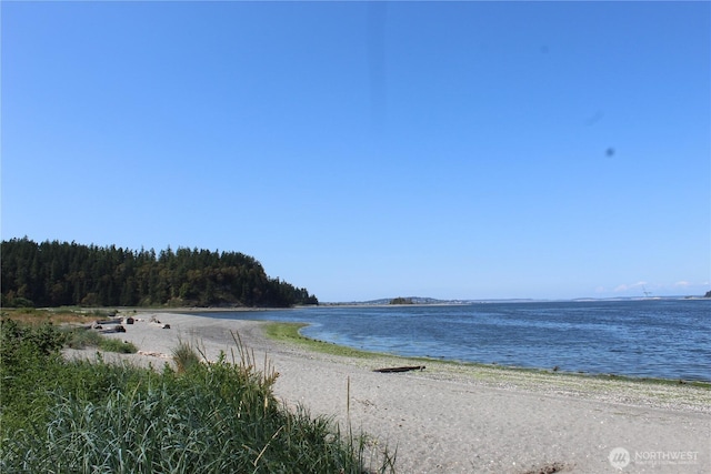 63 W Moore St, Port Hadlock, WA 98339 - photo 29