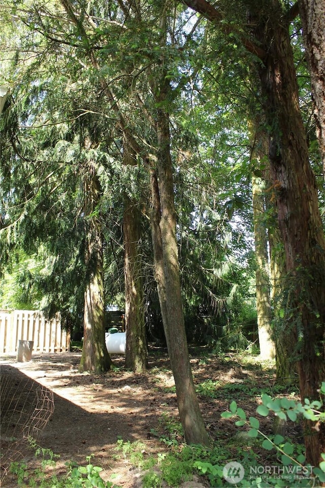 63 W Moore St, Port Hadlock, WA 98339 - photo 31