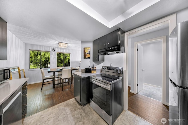 1211 N 8th St Unit 2, Mount Vernon, WA 98273 - kitchen featuring appliances with stainless steel finishes, under cabinet range hood, light countertops, dark cabinets, and wood finished floors