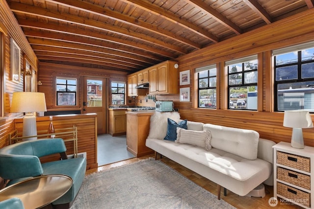 2401 N Northlake Way Unit E7, Seattle, WA 98103 - living area with healthy amount of natural light, wooden walls, and a wooden ceiling with exposed beams