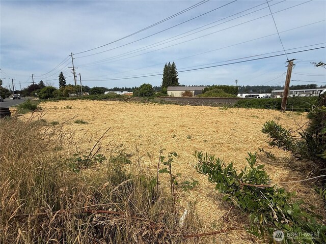 1730 Wood Ave, Sumner, WA 98390 - photo 7