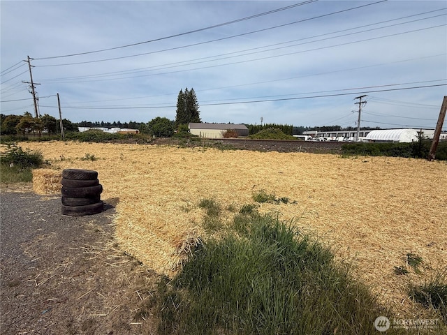 1730 Wood Ave, Sumner, WA 98390 - photo 8