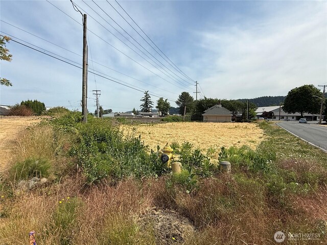 1730 Wood Ave, Sumner, WA 98390 - photo 12