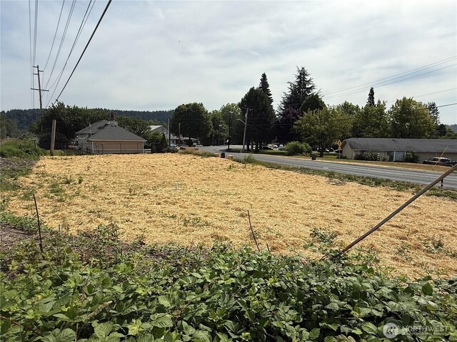 1730 Wood Ave, Sumner, WA 98390 - photo 13
