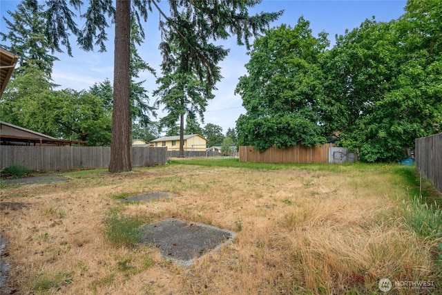 10423 13th Avenue Ct S, Tacoma, WA 98444 - view of yard