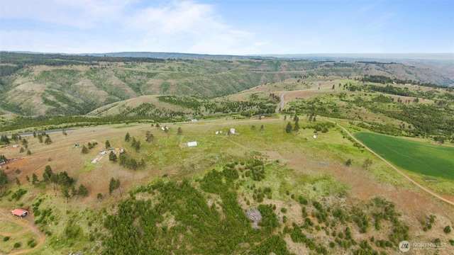 588 Reservoir Ln, Pomeroy, WA 99347 - photo 34