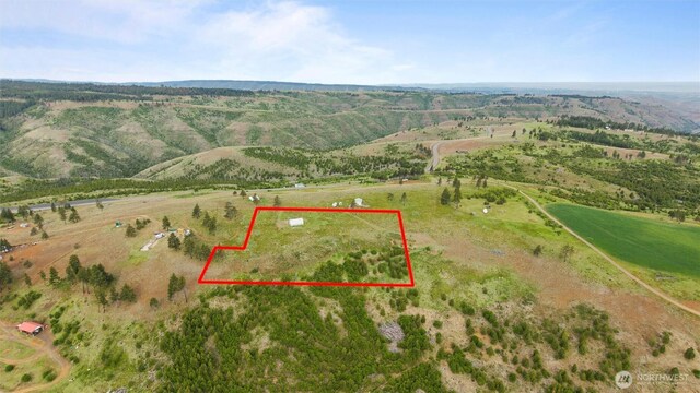 588 Reservoir Ln, Pomeroy, WA 99347 - photo 35
