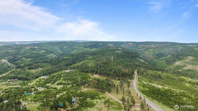 588 Reservoir Ln, Pomeroy, WA 99347 - photo 40