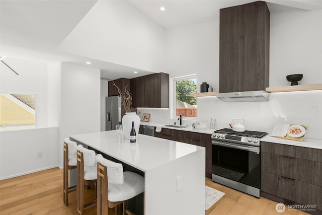 930 23rd Ave, Seattle, WA 98122 - kitchen with stainless steel appliances, modern cabinets, dark brown cabinets, and recessed lighting