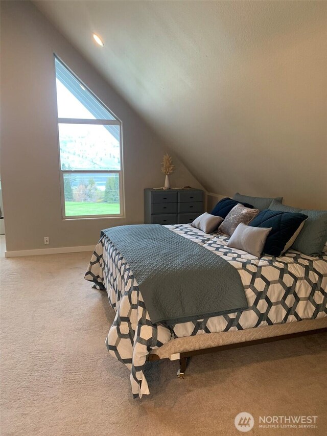 217 San Remo Ln, Chelan, WA 98816 - carpeted bedroom featuring vaulted ceiling and baseboards