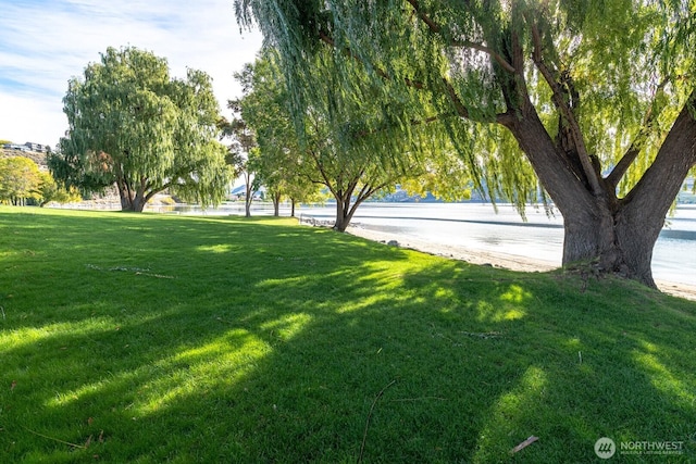 217 San Remo Ln, Chelan, WA 98816 - view of community featuring a yard