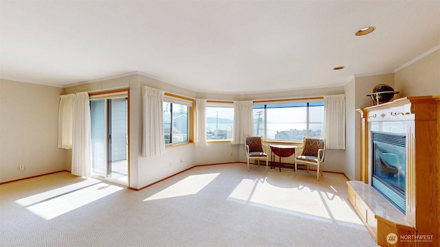 424 14th St # 202, Bellingham, WA 98225 - sitting room with carpet floors, ornamental molding, and a glass covered fireplace