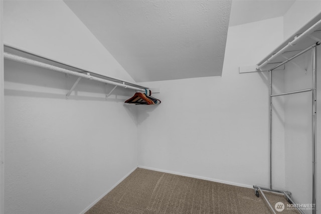20814 28th Ave SE, Bothell, Bothell, WA 98021 - walk in closet with vaulted ceiling and carpet