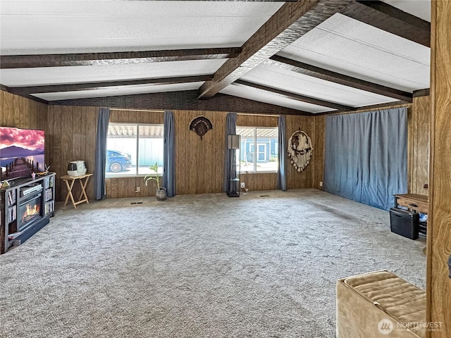 1385 Samuel Dr, Walla Walla, WA 99362 - unfurnished living room featuring wood walls, carpet floors, plenty of natural light, and a wood stove