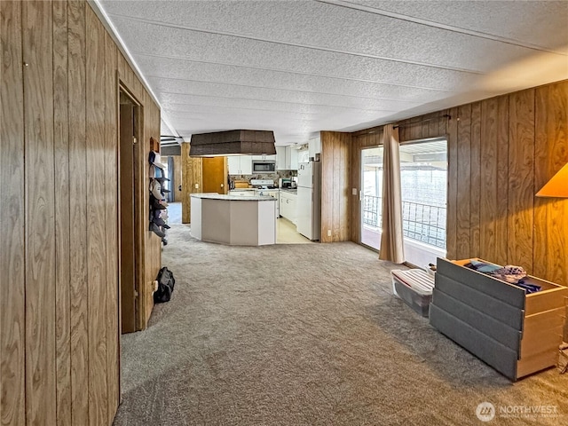 1385 Samuel Dr, Walla Walla, WA 99362 - living room featuring wooden walls, light carpet, and a textured ceiling