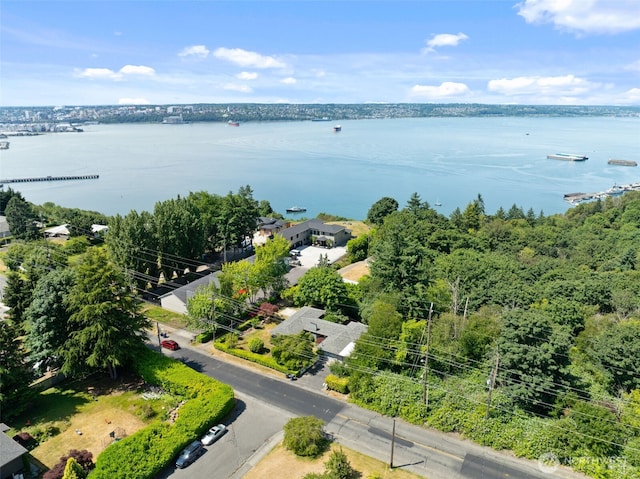 2322 Browns Point Blvd NE, Tacoma, WA 98422 - bird's eye view of a large body of water