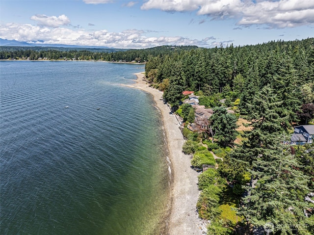 15905 Nesika Bay Rd NE, Poulsbo, WA 98370 - photo 29